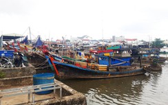 Giá xăng dầu tăng ngất ngưởng, tàu thuyền ngại đánh bắt xa bờ vì... sợ lỗ