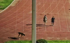 Bắt SVĐ đóng cửa sớm để dắt chó đi dạo, vợ chồng quan chức bị kỷ luật