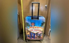 Phát hiện thi thể trẻ em trong chiếc vali tại Mỹ