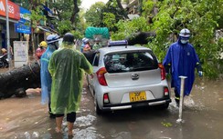 Cây xà cừ bật gốc trong mưa lớn đè trúng xe taxi, phố Hàng Chiếu tắc cứng