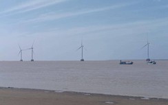 Bắt quả tang 3 đối tượng trộm thiết bị điện gió ở Cà Mau