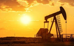 Giá xăng dầu hôm nay 4/6: Tăng tuần thứ 6, sắc xanh bao trùm