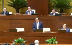 Vải thiều xuất qua Nhật mấy trăm nghìn/cân, sao mua của nông dân thấp thế?