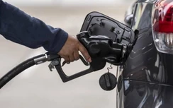 Giá xăng dầu hôm nay 7/6: Rớt mốc 120 USD/thùng