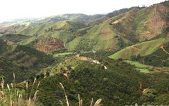 Kiến nghị không xử lý kỷ luật cán bộ vụ mất hơn 2.000 ha rừng ở Đắk Nông