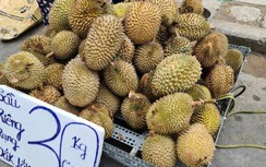 Hơn nghìn xe tắc biên tại Lạng Sơn, chưa có giải pháp tránh ùn ứ