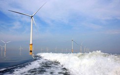 Nhà đầu tư điện gió ngoài khơi lo lắng trong “cuộc chơi” tỷ USD