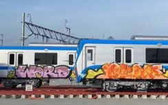 Người vẽ bậy lên toa tàu metro có thể bị truy tố hình sự