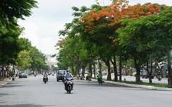 Cần Thơ dồn lực cho các dự án chống ngập