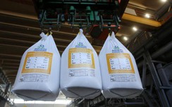 Bloomberg: Mỹ âm thầm khuyến khích các công ty mua phân bón của Nga