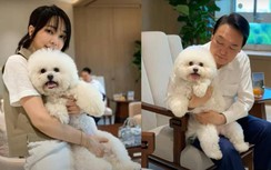 Đệ nhất phu nhân Hàn Quốc kêu gọi dừng ăn thịt chó