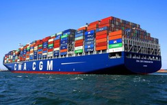 Liên minh hãng tàu liên tục hủy chuyến, Việt Nam khó tránh “vạ lây”