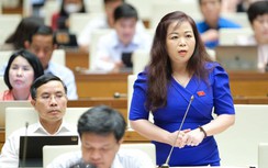 ĐBQH kiến nghị không thu hút đầu tư nước ngoài vào dầu khí bằng mọi giá