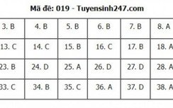 Đáp án đề thi vào lớp 10 Hà Nội 2022 môn Anh - mã đề 019