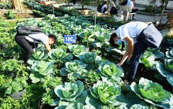 Mô hình "trường học đổi mới" đầu tiên ở Cần Thơ sau 5 năm ra sao?