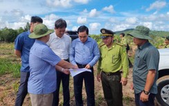 Ra quân xử lý việc phá rừng, bao chiếm đất xây dựng không phép ở Phú Quốc