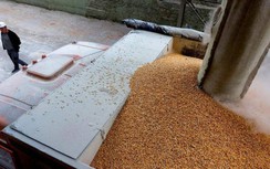 Hai mặt hàng của Nga mà EU không cấm vận nhưng khó xuất khẩu