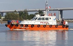 Tổ chức lại công ty hoa tiêu, phương án nào hợp lý?