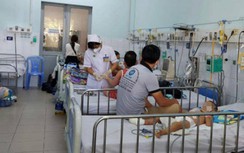 29 người tử vong vì sốt xuất huyết, lo ngại bùng dịch