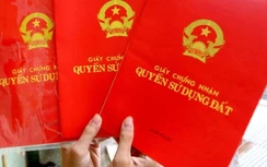 Cấp đất sai, giám đốc văn phòng đăng ký đất đai và cựu chủ tịch xã bị bắt
