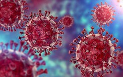 Biến chủng phụ BA.5 Omicron có đáng ngại?