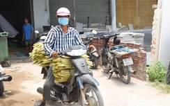 Hậu Giang: Người dân đổ xô bán mía chục, nhà máy đường canh cánh nỗi lo