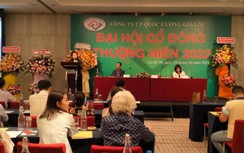 Quốc Cường Gia Lai đặt mục tiêu lợi nhuận trước thuế 100 tỷ đồng năm 2022