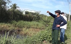 Đồng Nai: Một trang trại heo bị phạt hơn nửa tỷ đồng vì vi phạm môi trường