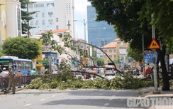 Nhánh cây gãy, rơi trúng xe máy chở 3 người ở TP.HCM