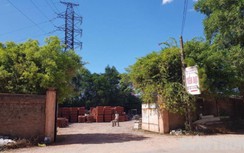 Kho tập kết vật liệu cả nghìn m2 “mọc” trái phép trên đất rừng nhiều năm