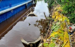 Cần cẩu bị gãy khiến người phụ nữ chèo đò bị đa chấn thương