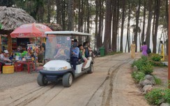 Đề xuất thí điểm xe điện bốn bánh chở khách du lịch tại Cồn Cỏ