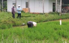 Bàn giao cọc GPMB dự án đường vành đai 3 TP.HCM đoạn qua Long An