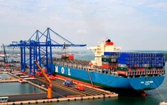 Cục Hàng hải nói gì về đề xuất khai thác sà lan ở bến Thị Vải?