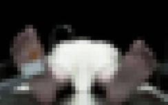 Thái Bình: Cụ bà tử vong trong nhà tắm, nhiều ngày sau gia đình mới biết