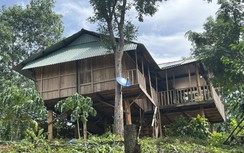 Vợ Chánh án TAND huyện chiếm đất rừng phòng hộ xây nhà sàn