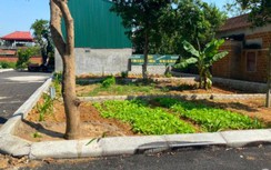 Vay tín dụng mua đất, nhiều nhà đầu tư "ôm bom"