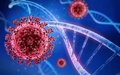 Vaccine phòng Covid-19 có bảo vệ trước biến thể BA.5?