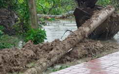 Đường ngập, nhiều cây xanh gãy đổ sau mưa dông ở Sóc Trăng