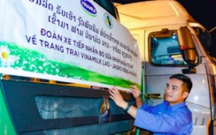 Vinamilk nhập 1.000 bò sữa HF từ Mỹ về tổ hợp trang trại tại Lào