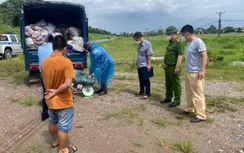 Từ xe chở quá tải, phát hiện khoảng 4,2 tấn chân gà không nguồn gốc xuất xứ