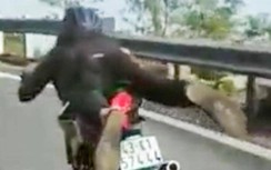 Công an triệu tập "quái xế" làm xiếc với xe máy trên đèo Hải Vân