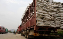 Phó Thủ tướng yêu cầu xử lý nghiêm vi phạm nồng độ cồn, xe quá tải