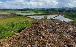 Dự án Mai Pha: Diện tích đất lúa phải chuyển đổi sai lệch hàng chục ha