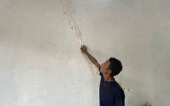 Nổ mìn làm cao tốc gây nứt nhà dân ở Quảng Ninh: Vì sao chậm bồi thường?