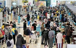 Tạm dừng triển khai dịch vụ ưu tiên làm thủ tục hàng không tại sân bay