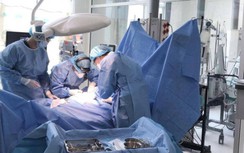 Liên tục lọc máu, bé trai 5 tuổi bị ong vò vẽ tấn công may mắn thoát cửa tử