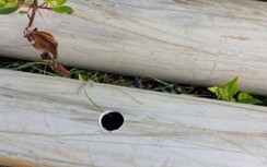 Đường ống dẫn cát cho dự án Nhà ở mật độ cao ở Bạc Liêu bị phá hoại