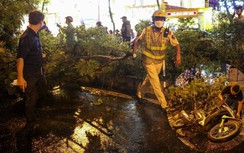 Cây cổ thụ bật gốc trong mưa lớn đè một người đi xe máy mắc kẹt ở Cầu Giấy