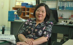 Trụ sở mới của Hội Liên hiệp Văn học nghệ thuật Hải Phòng: Có lẽ nào?